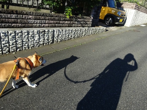 ただいま〜