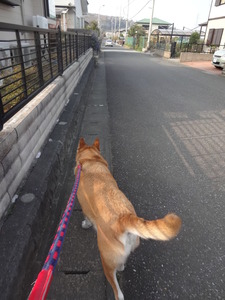 µ¢¤ê¤òµÞ¤°