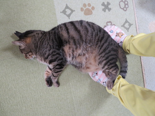 足の間でお付き合い