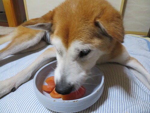 トマトの湯むき
