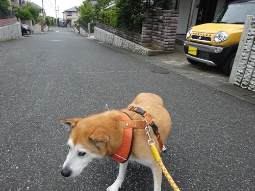 家で手すぐ