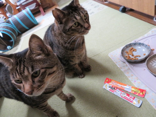 まだ〜?