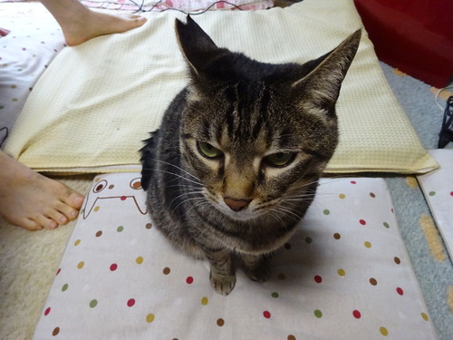 2階にいたななみ