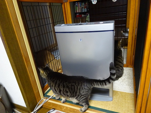 ななみは