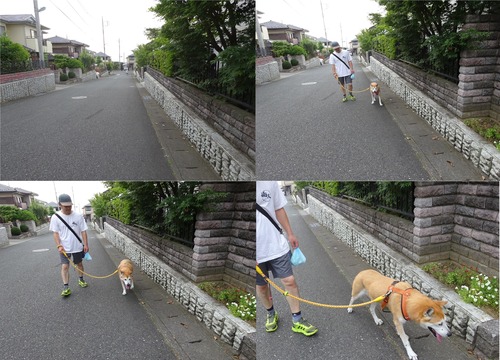 トボトボだけどゆっくりでも