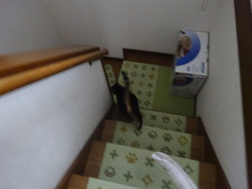 1階へ
