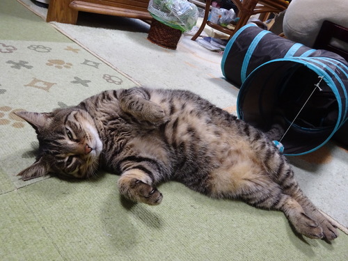 終わったよ