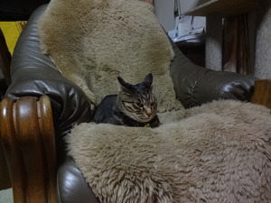 ¤Ê¤Ê¤ß