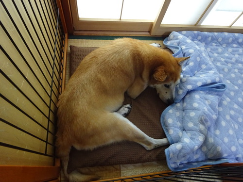 無関心