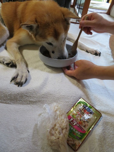 トッピング無し