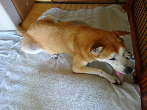 暑いね