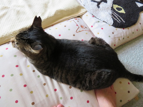 足元に
