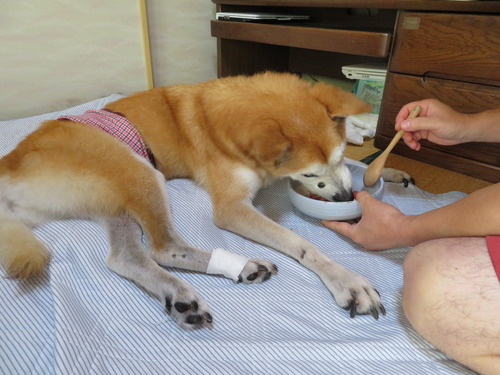 湯むきトマトの牛乳かけ