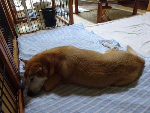 玄関側から