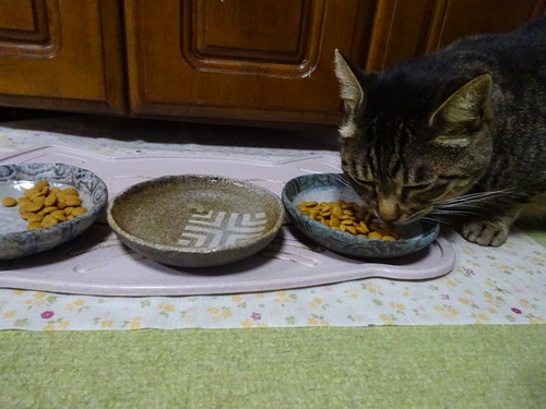 朝ご飯の残り