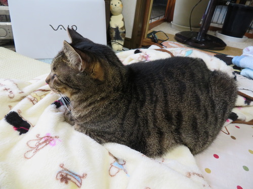 食べた後