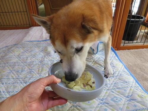 待ちきれ無いで