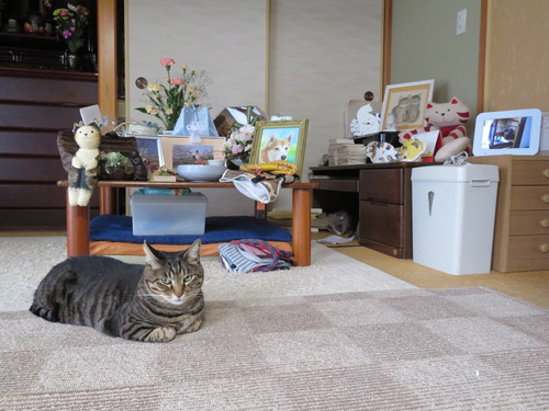 ポツン