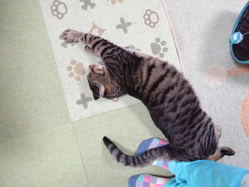 伸び〜んして