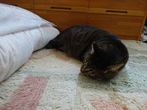 2階で
