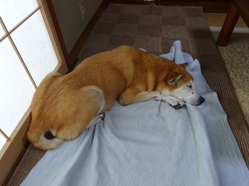 雨降り