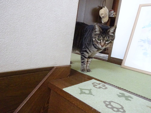 2階へ