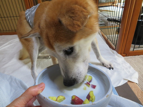さつま芋の牛乳かけ