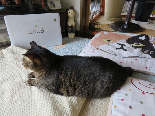 たくみ