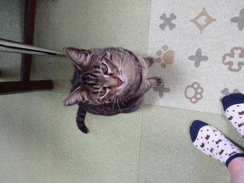 ありがとうね