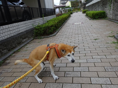 写さないで