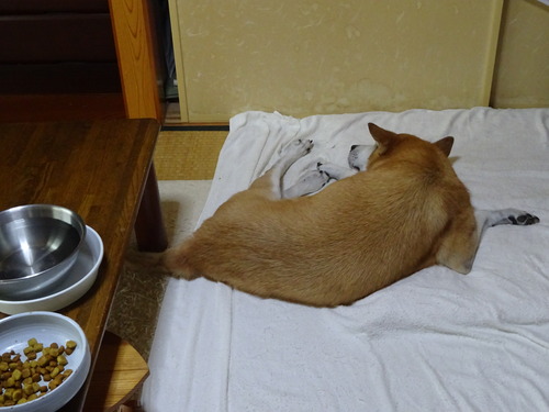今朝も残してる