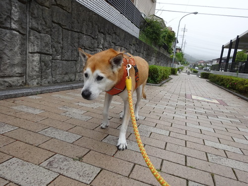 自ら