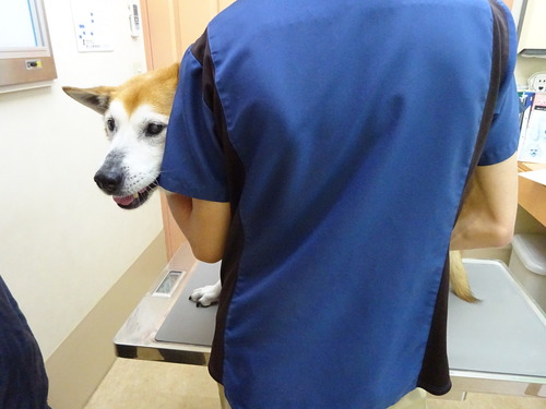 出ちゃったね