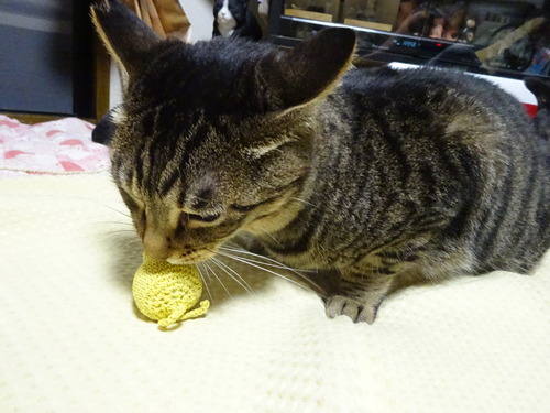 ペロペロ