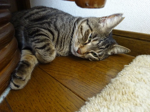 寝てた?