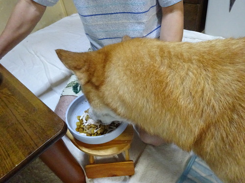 良い感じ?