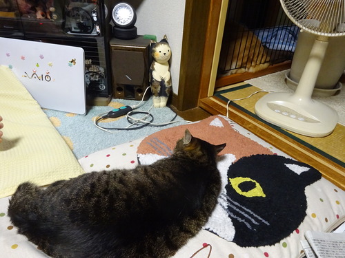 りょうたくは