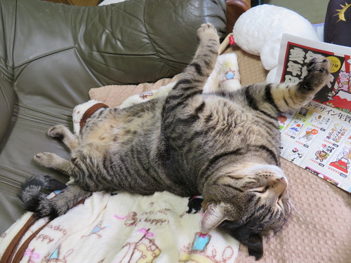 お母ちゃんの横