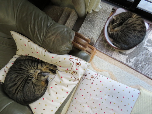 その後はこんな感じ