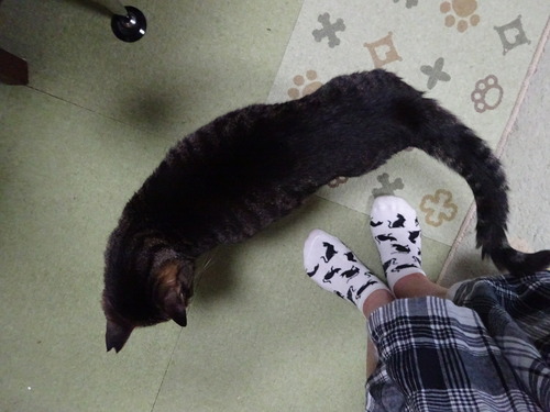 起きてきて