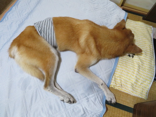 エアコン点けて5分