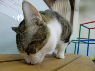 CIMG5981