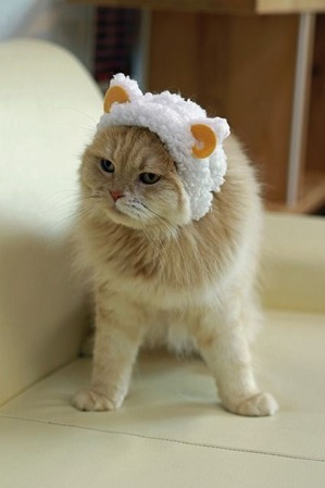 nekomanma_3718_edited-1