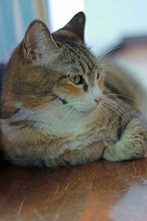 IMG_9713_edited-1