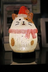 nekomanma_5458_edited-1