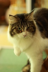 IMG_8066