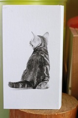 nekomanma_4746_edited-1