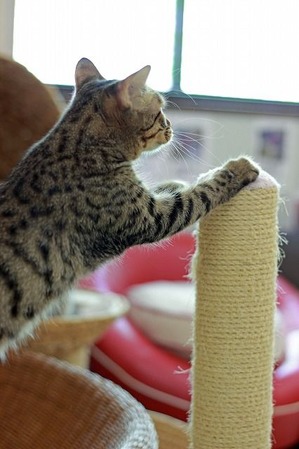 IMG_9186_edited-1