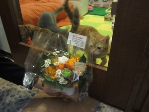 IMG_5831