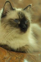 IMG_0058